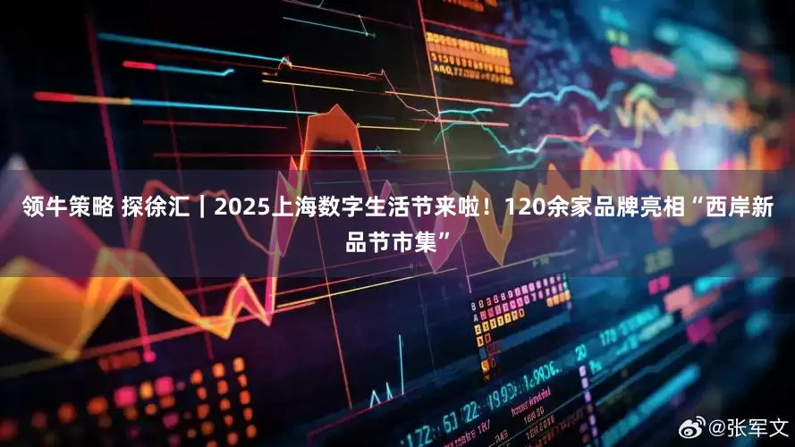 领牛策略 探徐汇｜2025上海数字生活节来啦！120余家品牌亮相“西岸新品节市集”