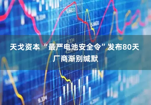 天戈资本 “最严电池安全令”发布80天 厂商渐别缄默