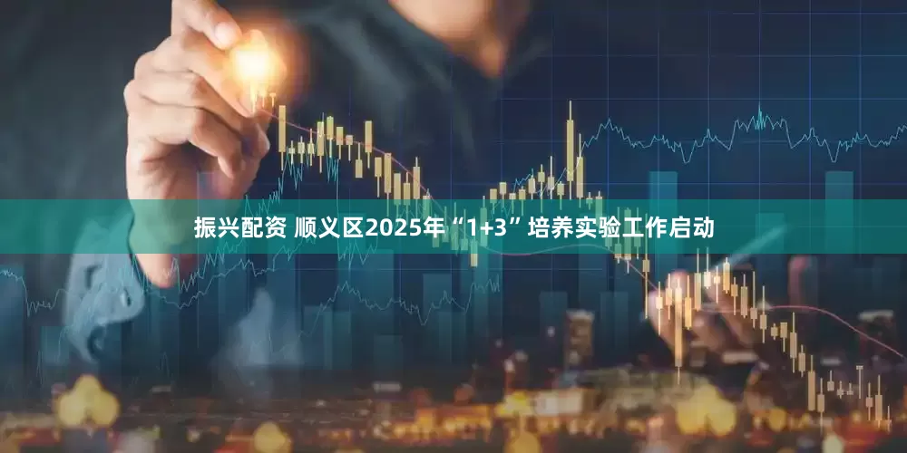 振兴配资 顺义区2025年“1+3”培养实验工作启动