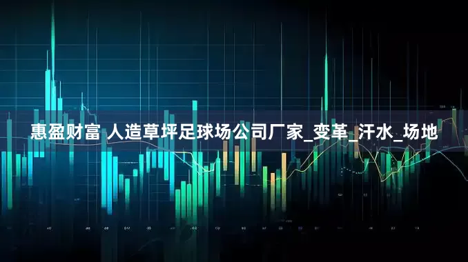 惠盈财富 人造草坪足球场公司厂家_变革_汗水_场地