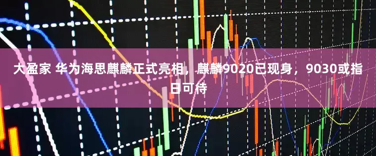 大盈家 华为海思麒麟正式亮相，麒麟9020已现身，9030或指日可待