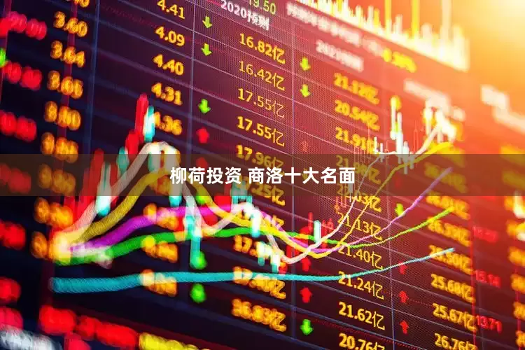 柳荷投资 商洛十大名面