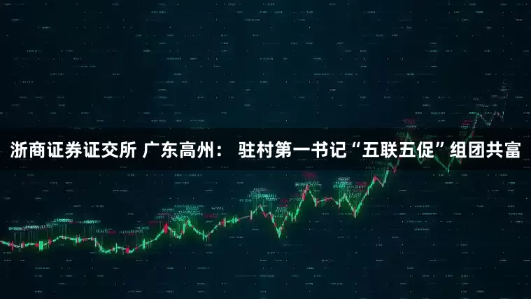 浙商证券证交所 广东高州： 驻村第一书记“五联五促”组团共富